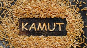 Kamut, orzo e quinoa: i cereali che fanno la differenza